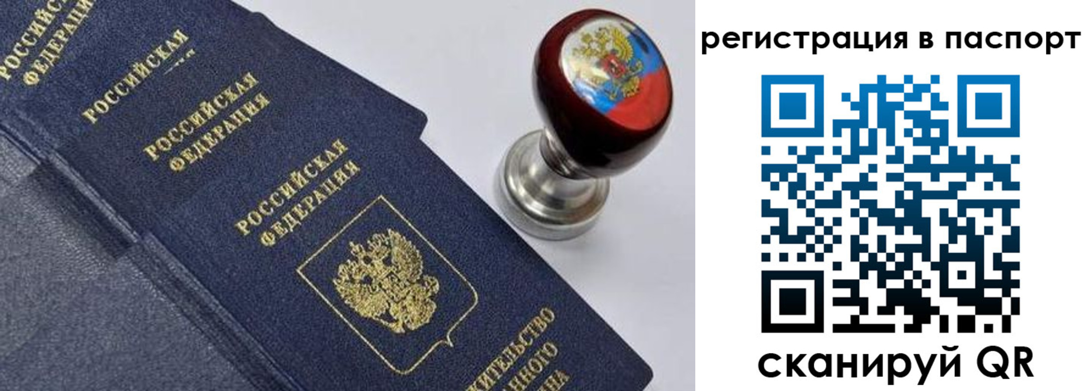 временная регистрация недорого в Петропавловске-Камчатском